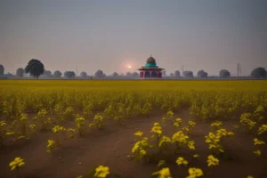 Tourist places in Jalandhar: A City with Rich History & Culture