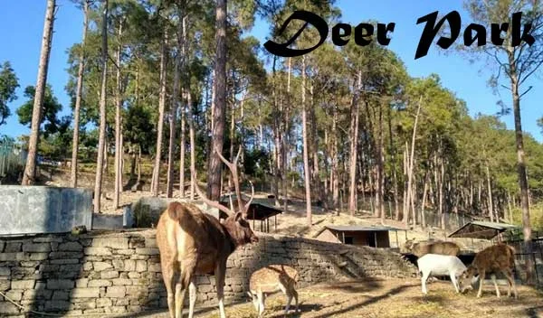 Deer Park