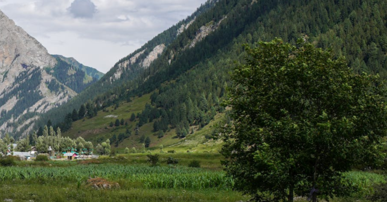Tourist places in Kulgam: Where Paradise Blooms in Kashmir