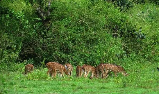 top-20-tourist-places-to-explore-in-yamunanagar