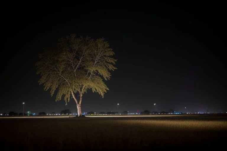 sonipat-must-visit-places