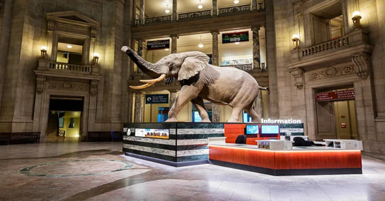 Top 10 Exquisite Artifacts Museums in Delhi